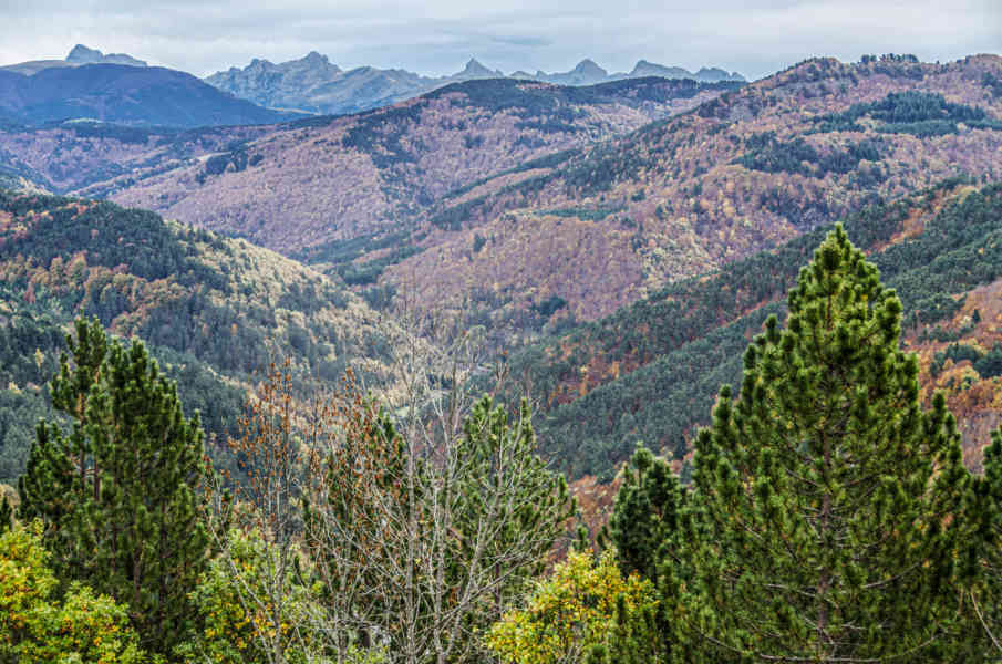 Comunidad Foral de Navarra 014 - valle de Salazar.jpg